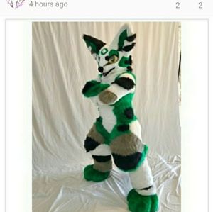 Dog fox fursuit